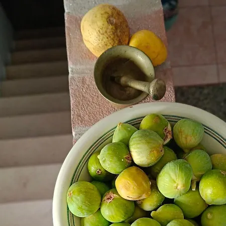 Archita51 * Bernalda