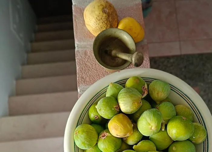 Archita51 * Bernalda